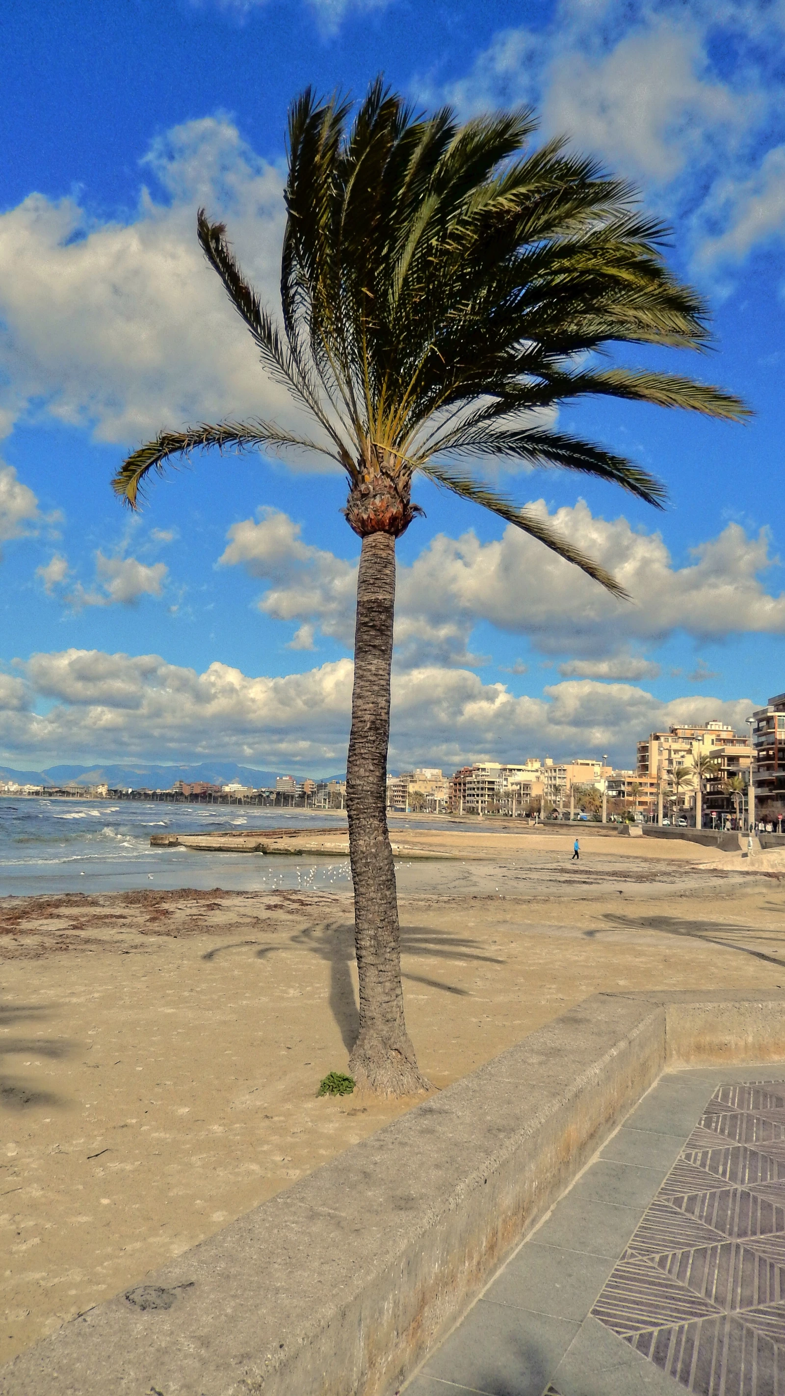 Best car for driving around Mallorca scenic mountain routes