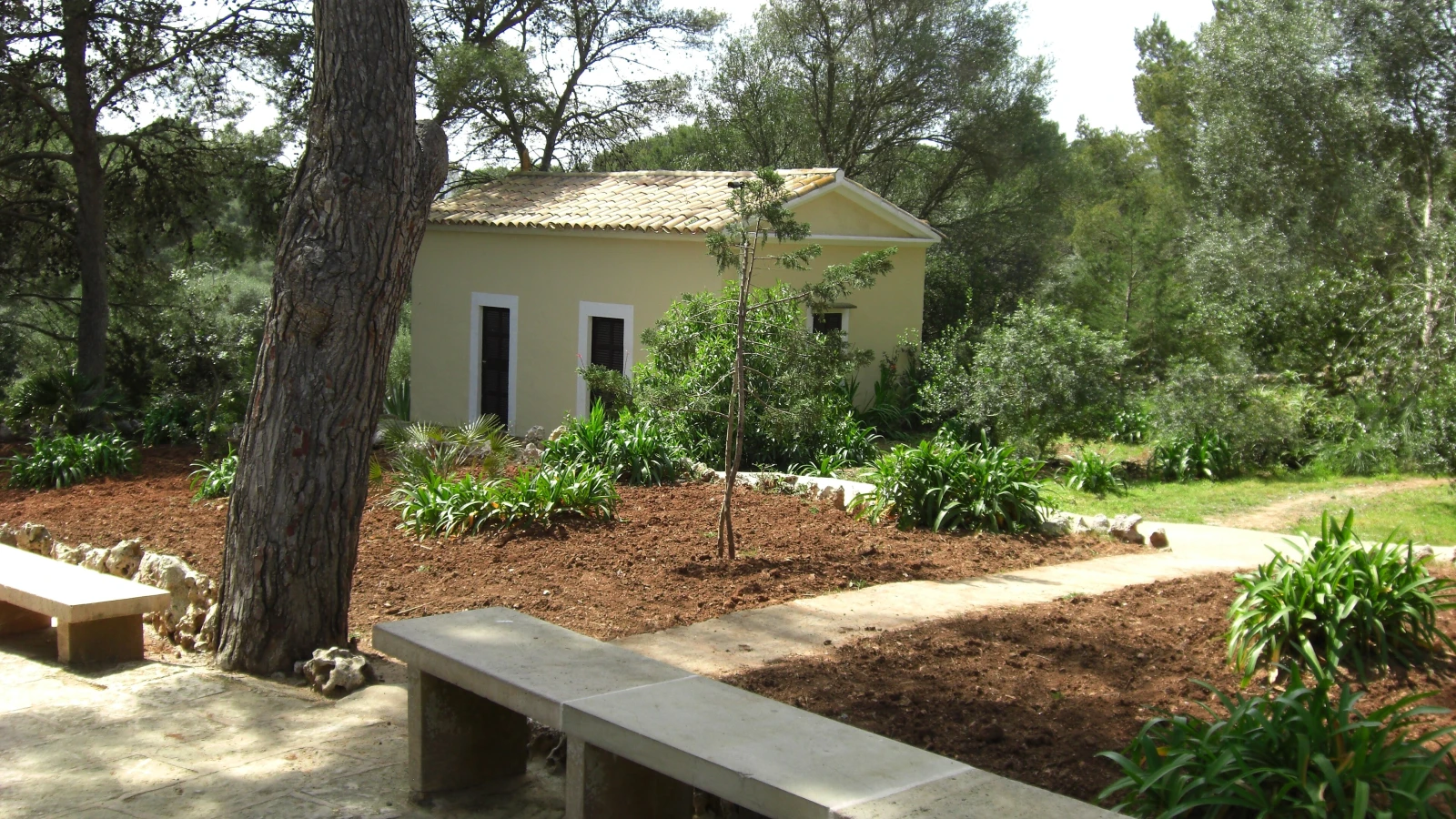 Entrance to Cuevas del Drach Porto Cristo - day trip by rental car from Palma de Mallorca