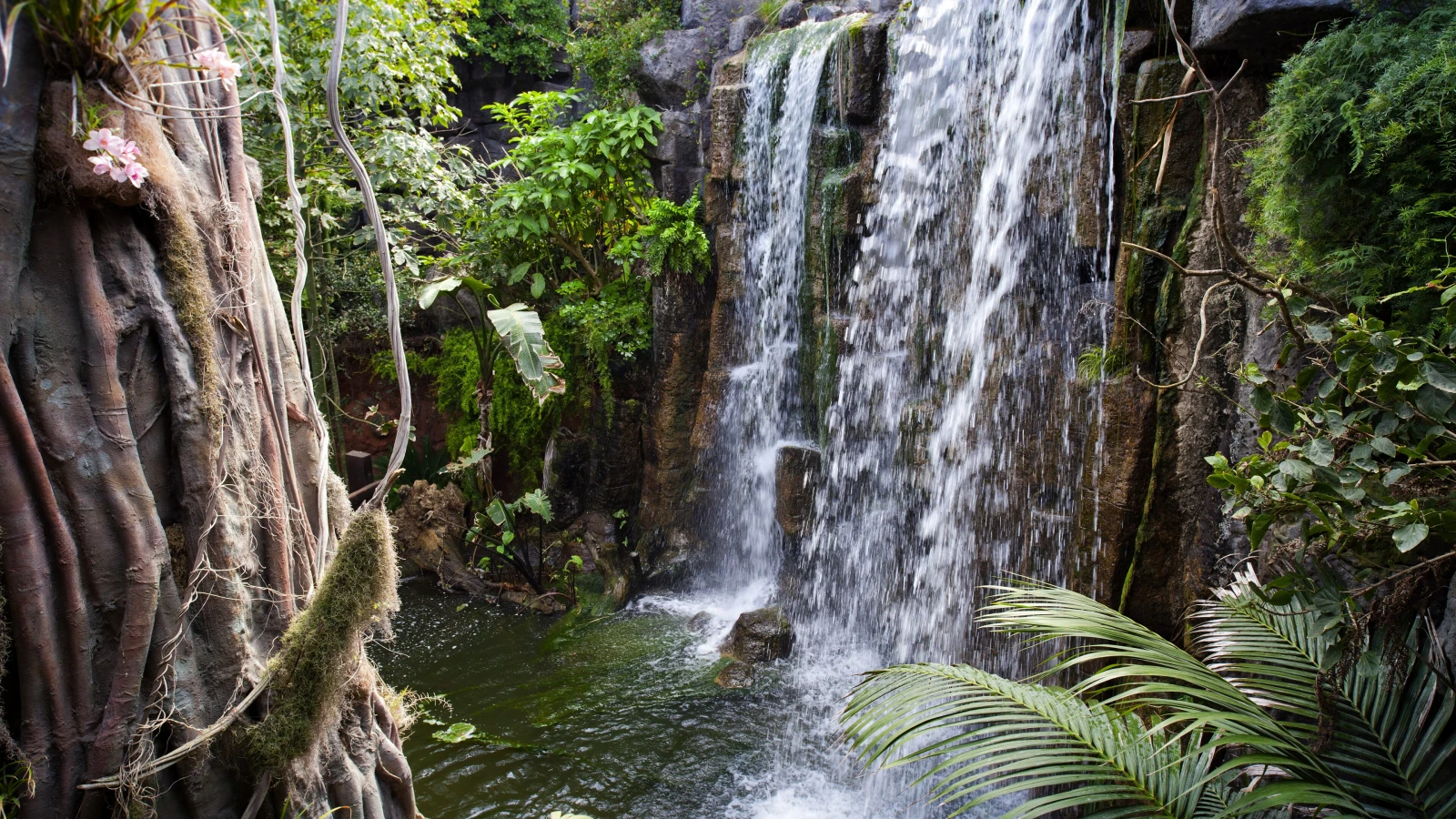 Inside Palma Aquarium - shark tunnel exhibit accessible by rental car from Palma city
