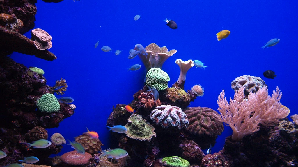 Palma Aquarium entrance and visitor area - plan your car rental day trip from Palma de Mallorca